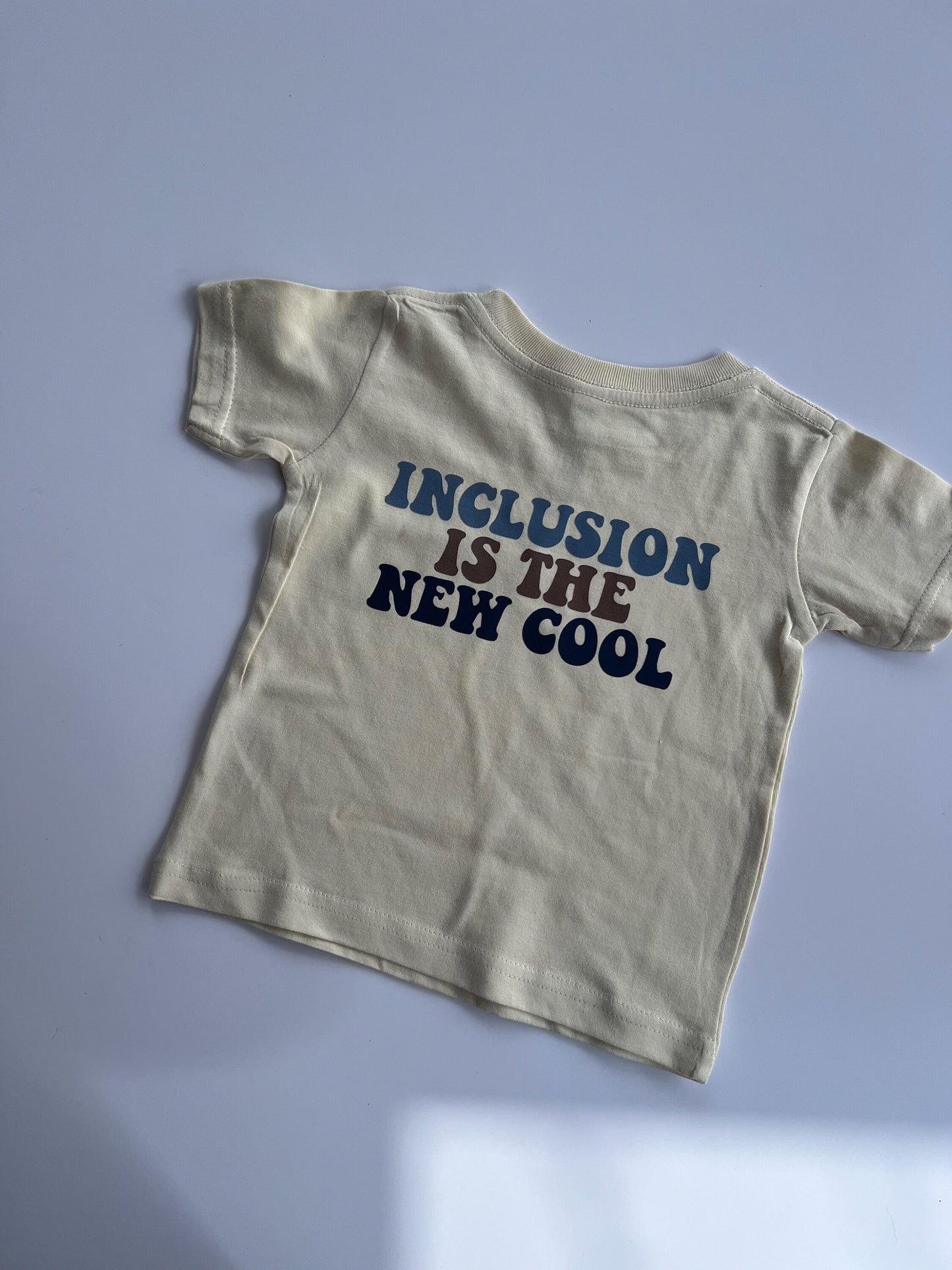 Autism Inclusion Acceptance Shirt, Autism Inclusion Youth Shirt, Autism Acceptance Kids Shirt, Inclusion is the Vibe Shirt, Cute Autism Shir